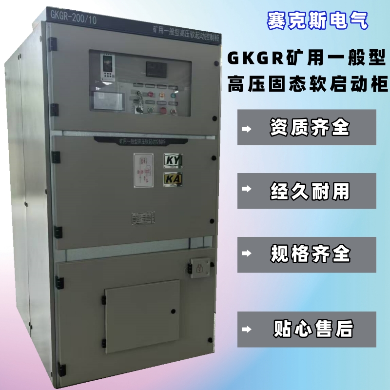 礦用高壓固態(tài)軟啟動(dòng)柜生產(chǎn)廠(chǎng)家 賽克斯電氣 按需定制